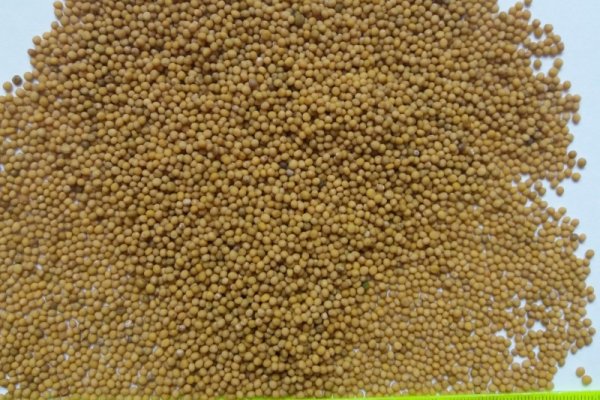 Kra40at