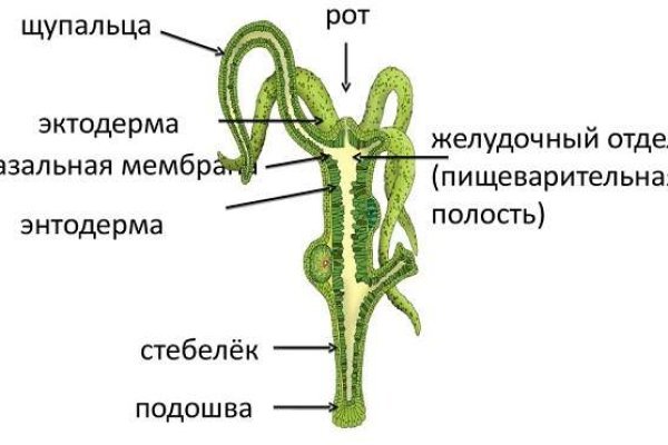Vk8 at кракен