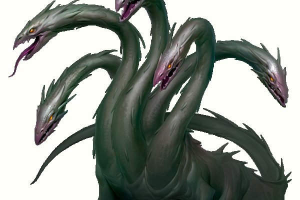 Kraken 12at