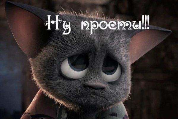 Кракен через тор браузер
